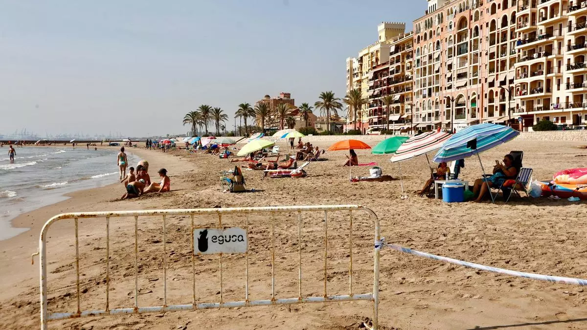 Cierre de las playas por contaminación: "Hay que recorrer la acequia y buscar los puntos negros"