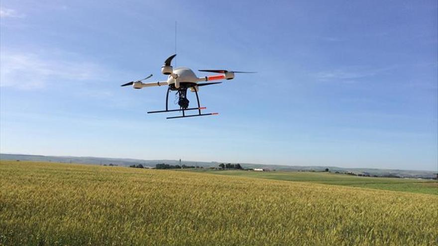 Un dron usado en una finca para tareas agrarias.