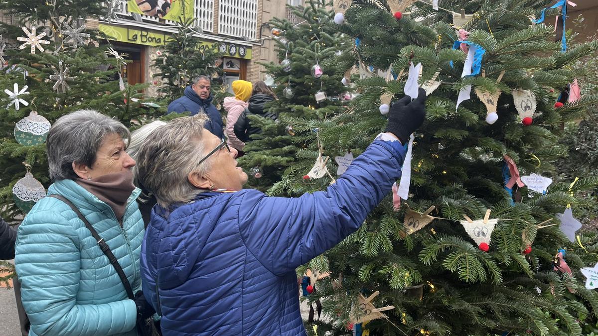 Trobada de les persones grans participants al Bosc de la Saviesa