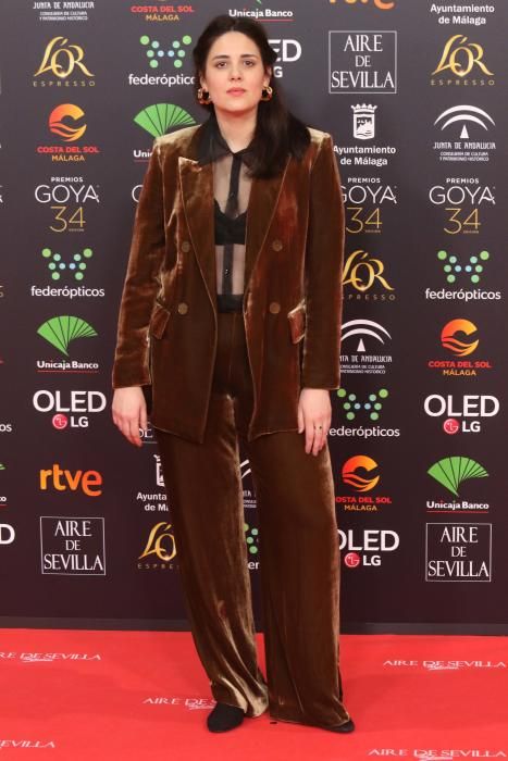 Alfombra roja de los Premios Goya 2020.