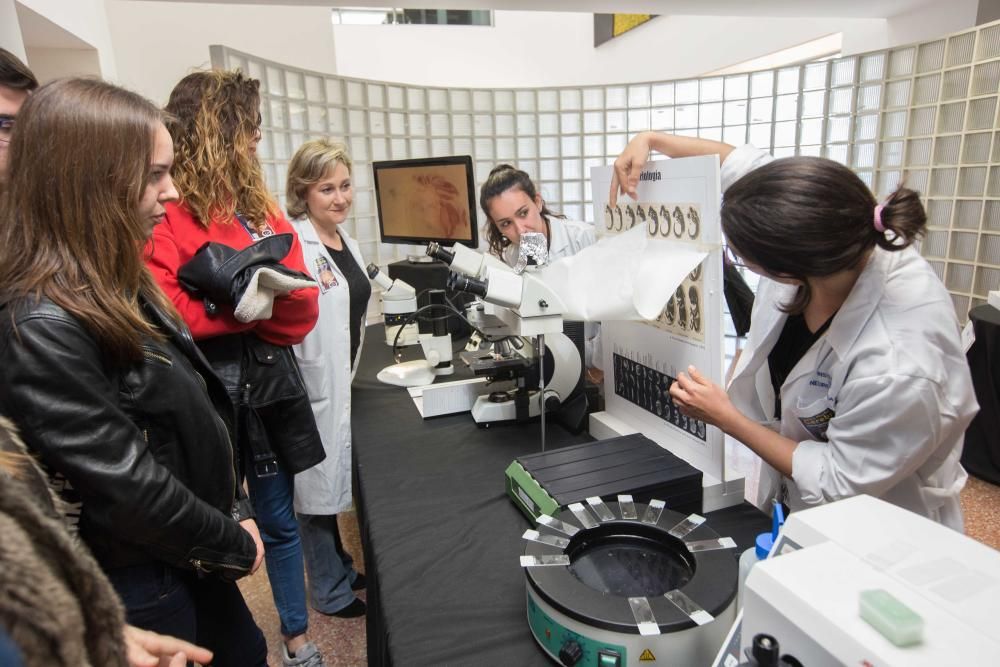 Los investigadores del Instituto de Neurociencias muestran cómo es su trabajo