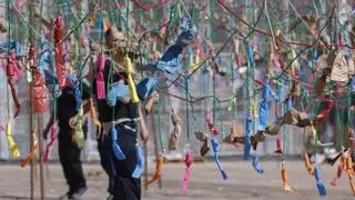 En directo, la mascletà de hoy: Tamarit tirará un potente bombardeo aéreo y pintará la Senyera con sus 216 kg de pólvora