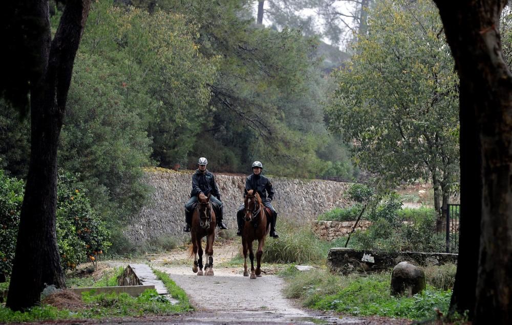La UME y el escuadrón de caballería de la Guardia Civil, se han incorporado este martes en la localidad valenciana de Manuel y sus alrededores a la búsqueda de la joven Marta Calvo.