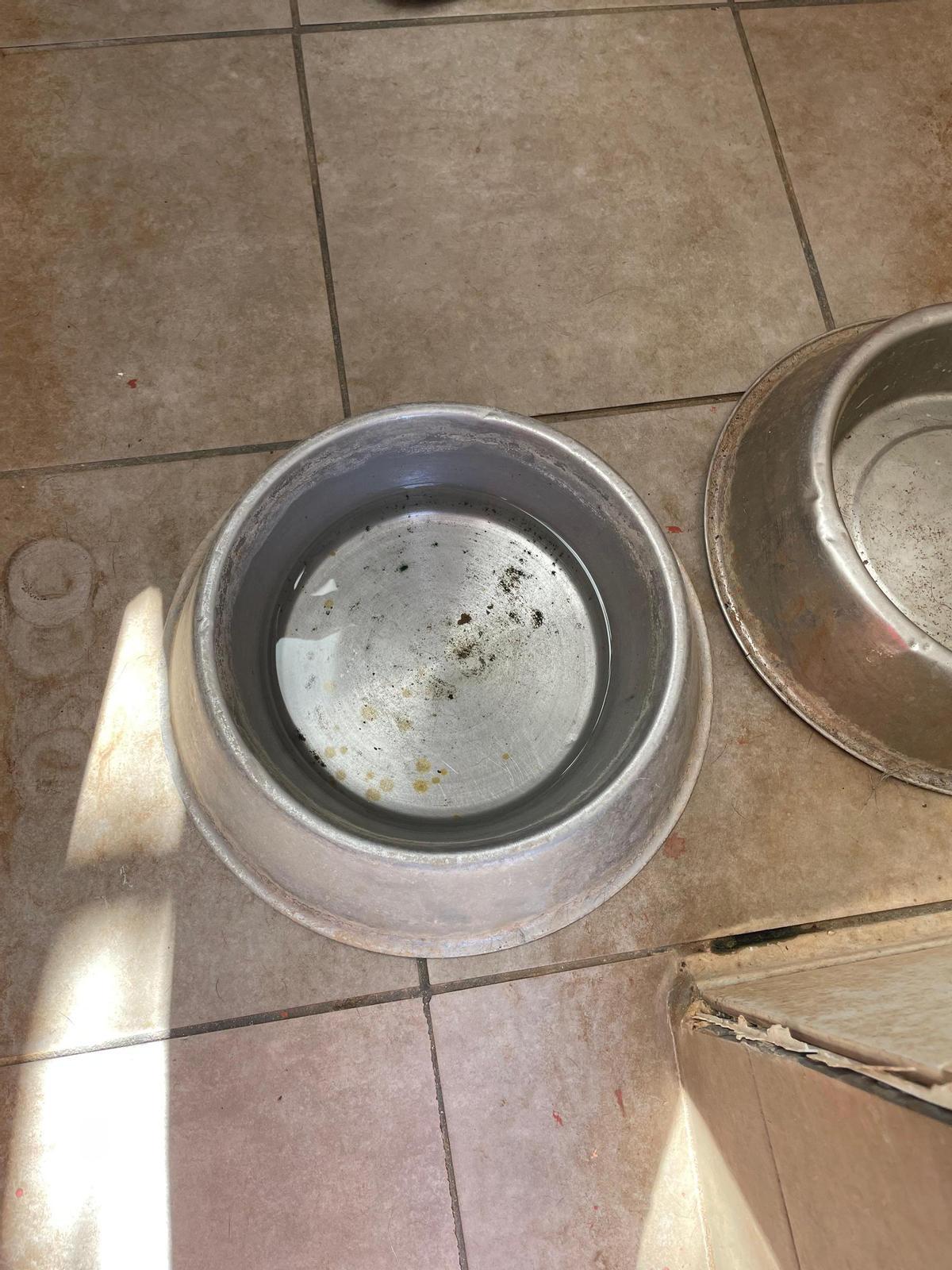 Die Freiwilligen beklagen Schimmel und Rost in den Näpfen.