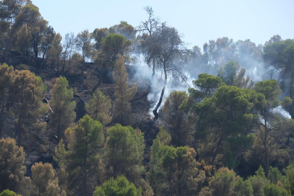 El fuego se inició a última hora de ayer miércoles y ha estado activo toda la noche.