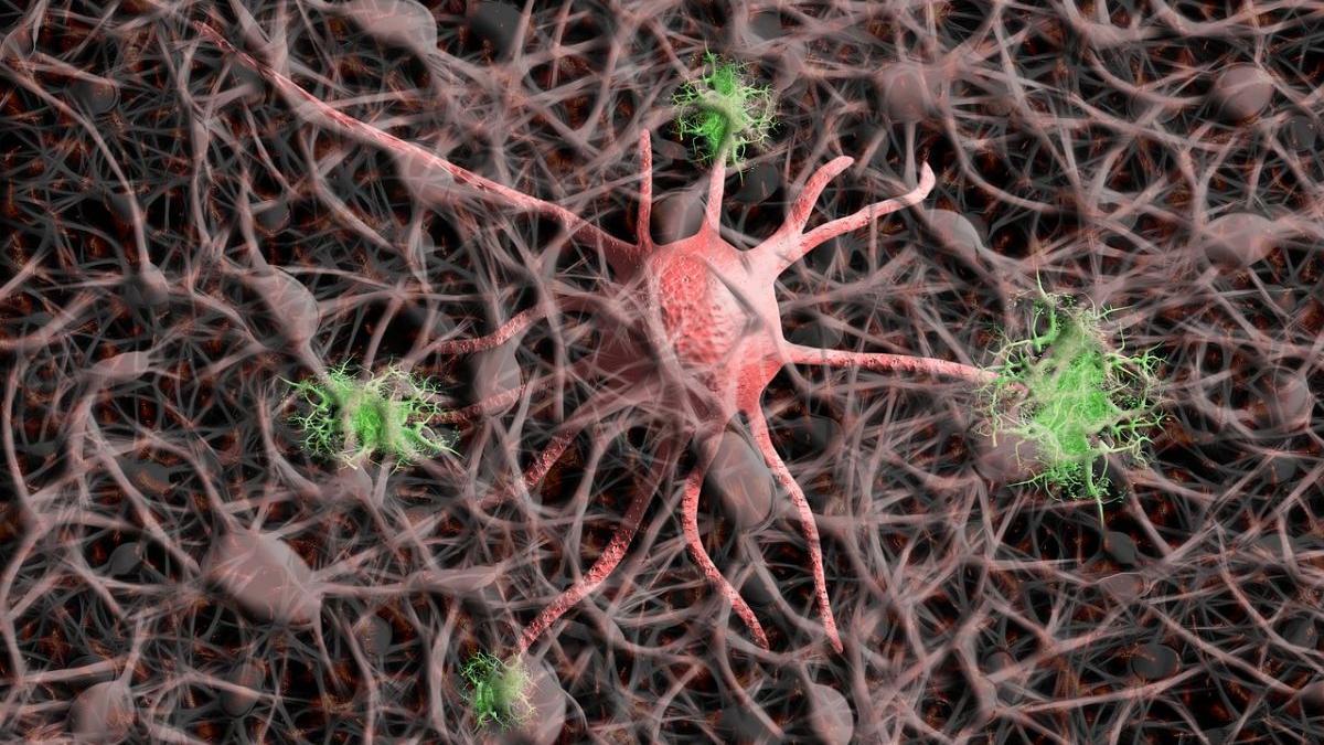 Una neurona orgánica artificial se ha integrado en una planta Venus atrapamoscas carnívora, logrando variar su comportamiento.