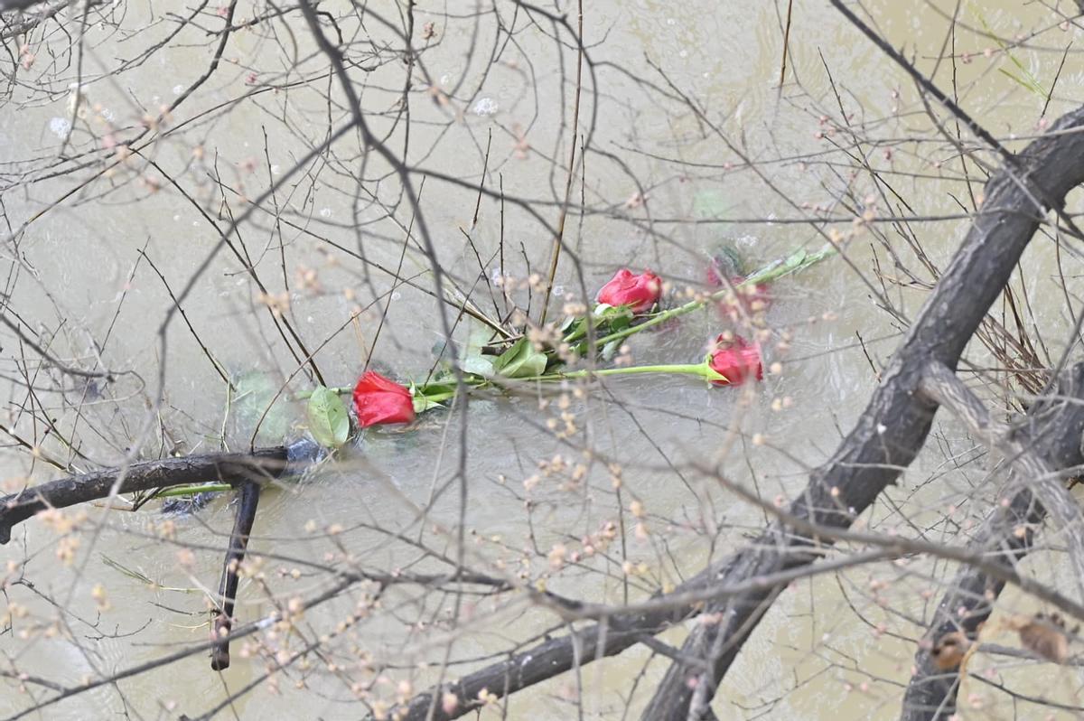 Claveles rojos en el Ebro.