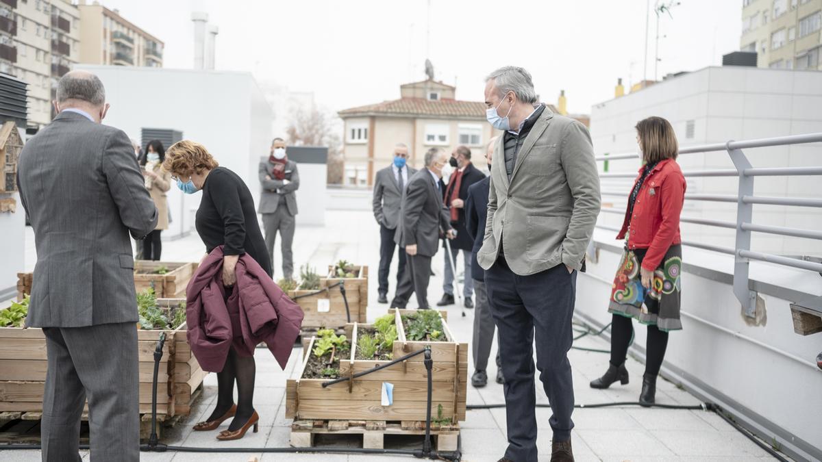 Paseo por el huerto ecológico situado en la azotea del colegio.