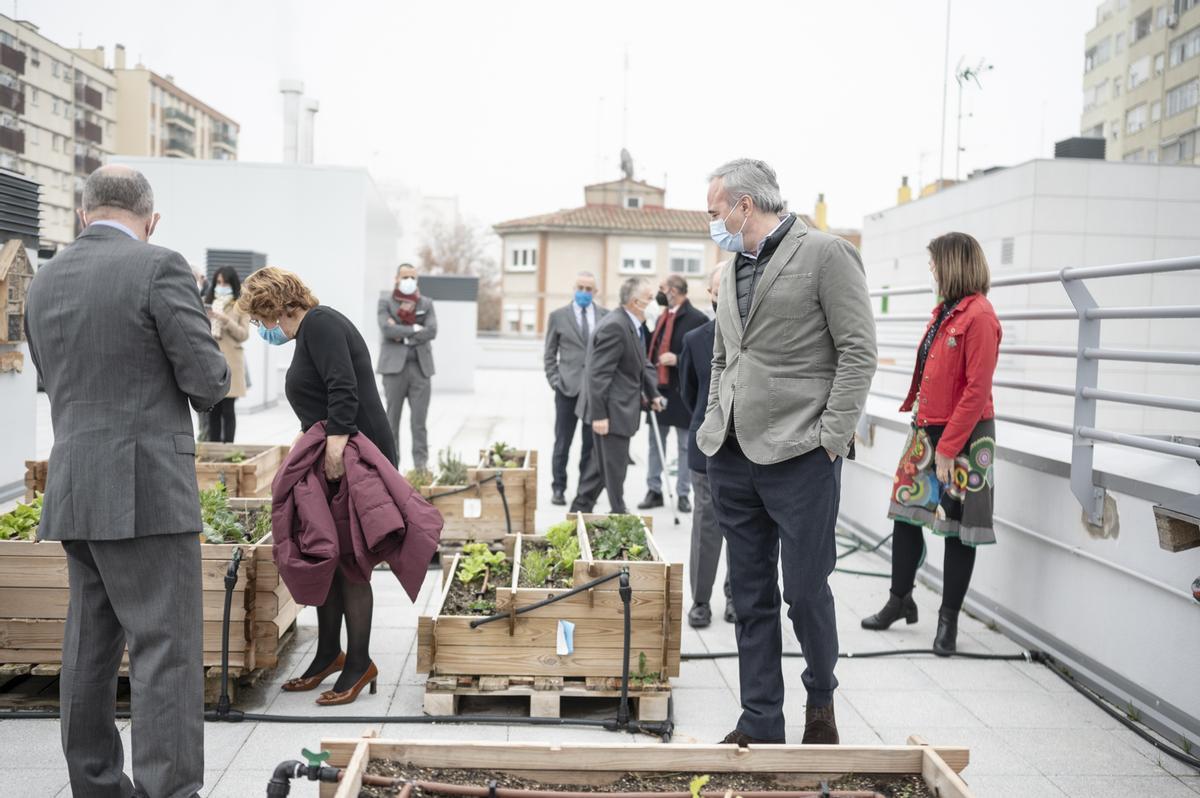 Paseo por el huerto ecológico situado en la azotea del colegio.