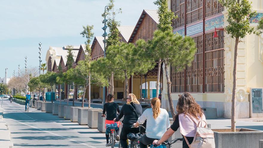 Plantarán 200 nuevos árboles en la Marina de València