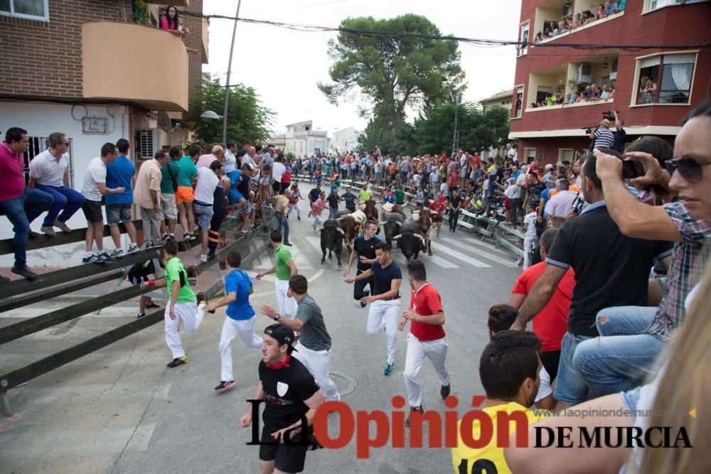 Quinto encierro en Calasparra