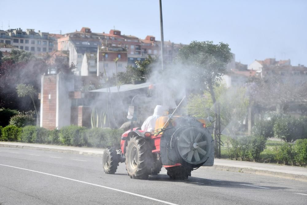 El álbum del Covid-19: así vivimos el confinamiento en Pontevedra