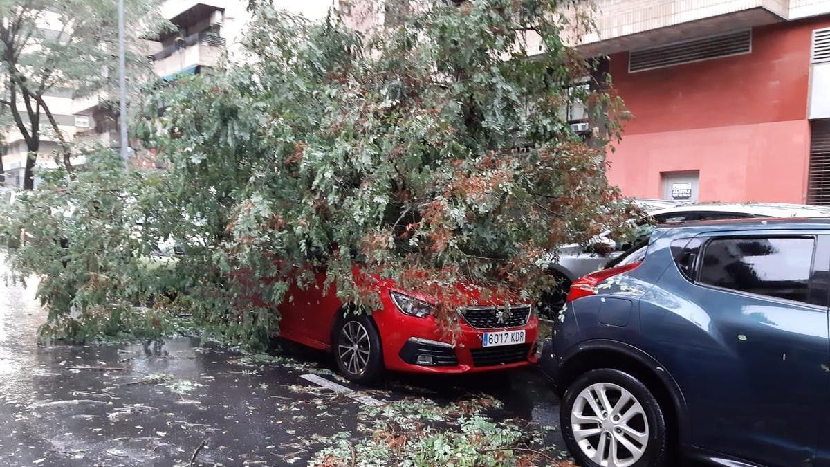 Fotogalería | Así afecta el temporal de lluvia y viento en Cáceres