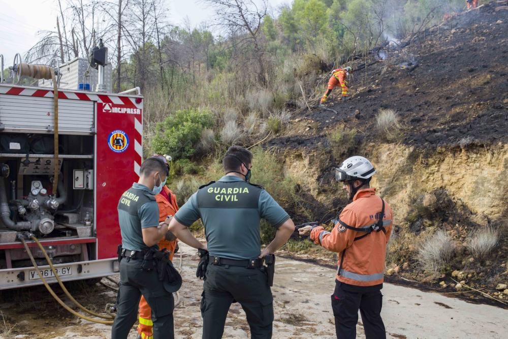 Incendio forestal en la zona el Pi d'Ambrosio de l'Ènova