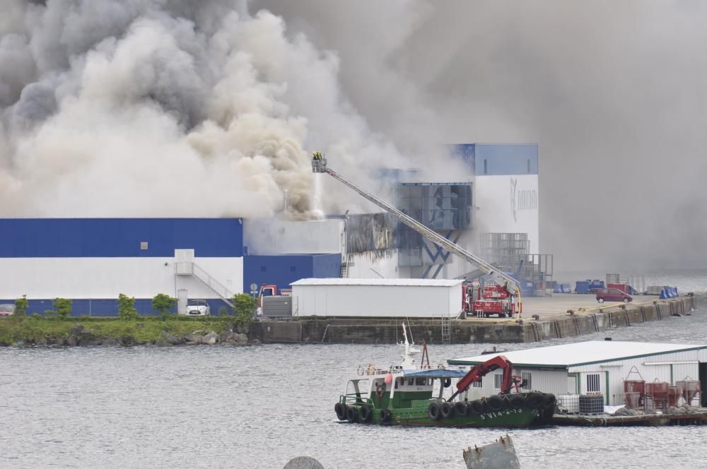 Un aparatoso incendio ha obligado a evacuar este lunes por la  tarde la nave de la empresa Fandicosta, en Moaña (Pontevedra),  dedicada al procesado de congelados del mar y situada en el lugar de  Verdeal, en la parroquia de Domaio, y una densa humareda cubre parte  de la ría, especialmente en la zona del puente de Rande.