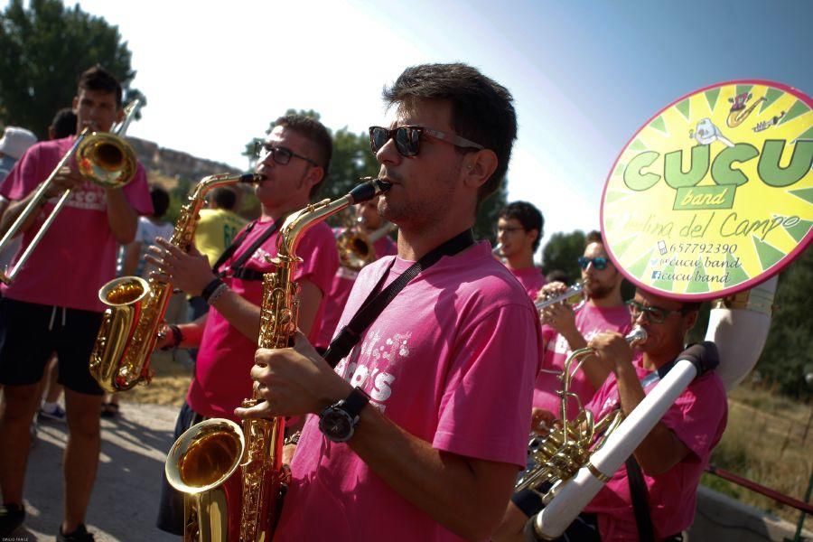 Fiestas en Zamora: Encierro en Venialbo