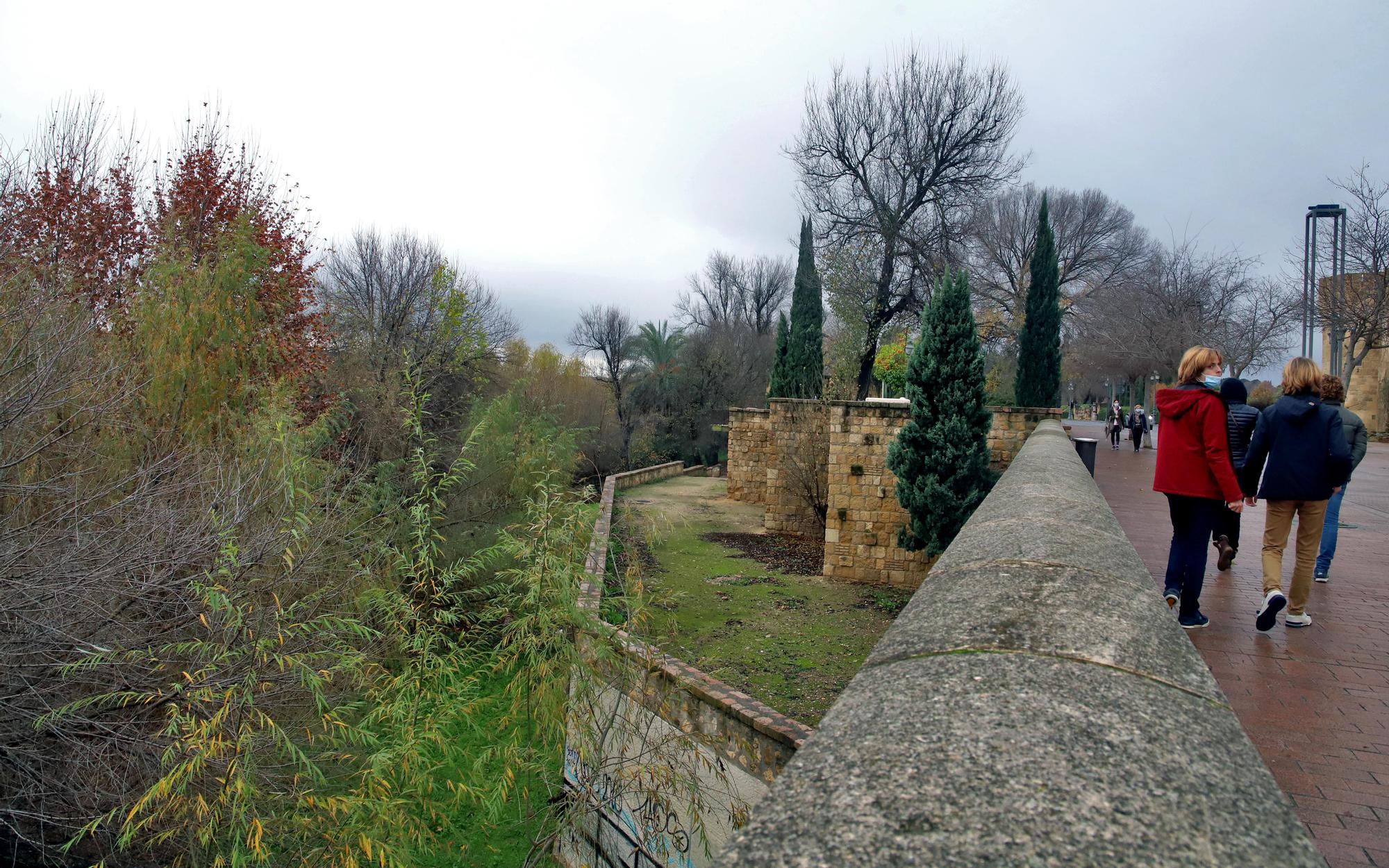 La vegetación no deja ver el río Guadalquivir