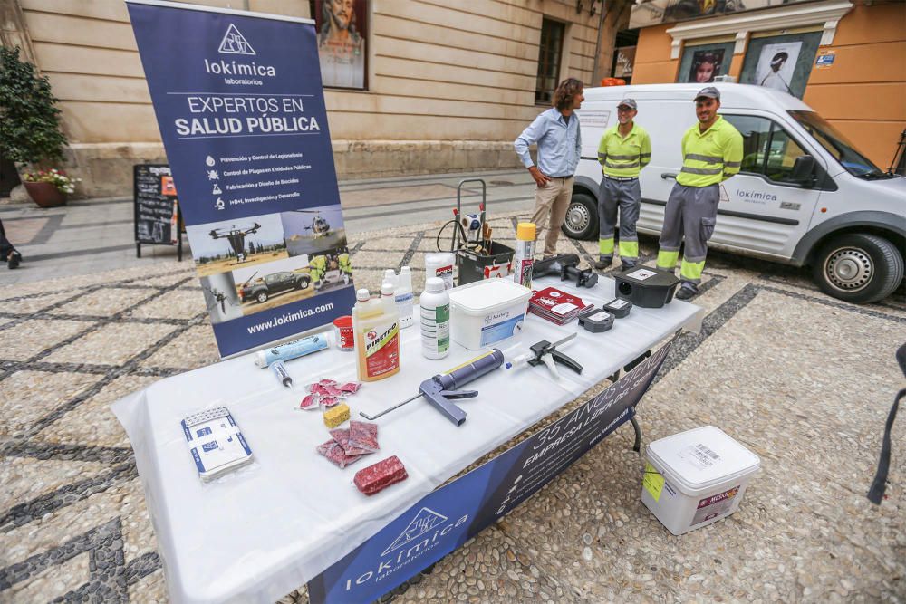 Plan de choque contra las plagas en Orihuela.