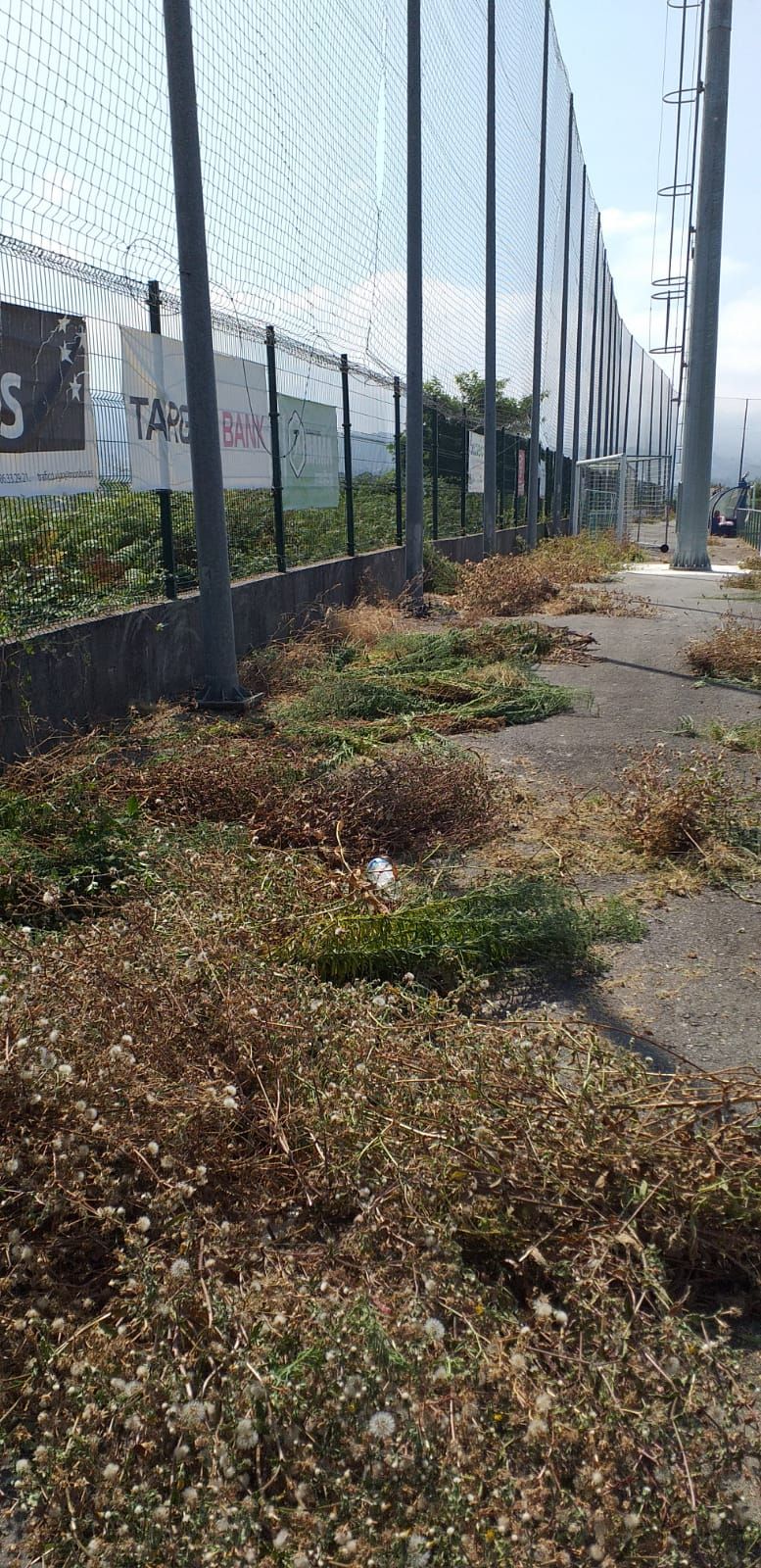 De tragarse los balones a invadir el campo: así se defiende de la selva el Racing de Castrelos