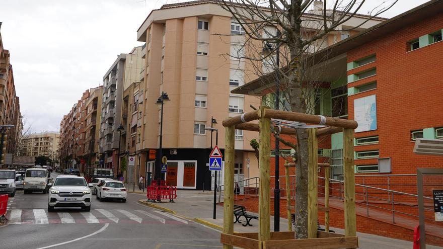 La Avenida Almaig de Ontinyent estrena imagen con el nuevo arbolado urbano