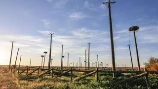 La capitalidad cultural de 2031 agiliza la construcción del aeródromo