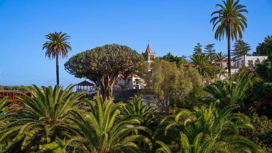 Drago Park Breaks Visitor Record, Tops 240,000 in 2025