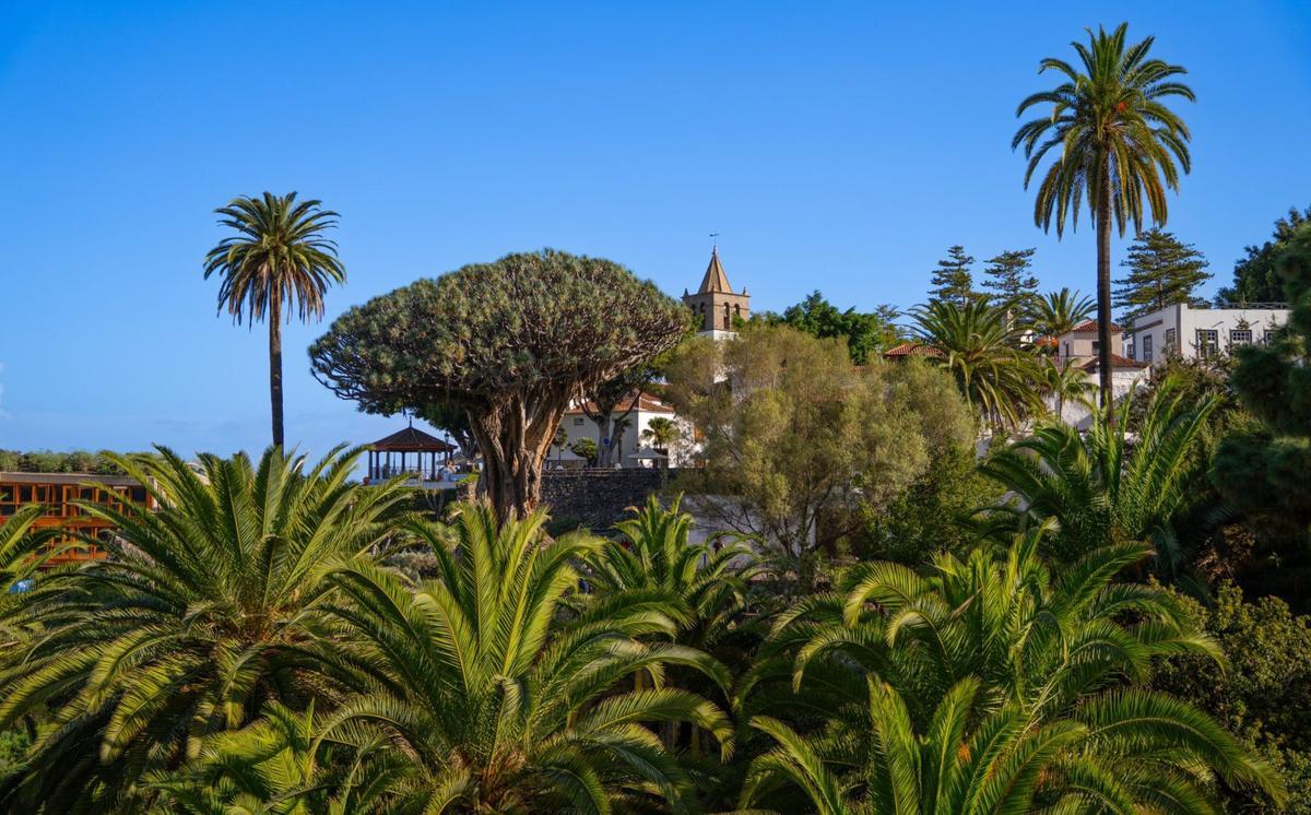 Parque del Drago| ED/LOT