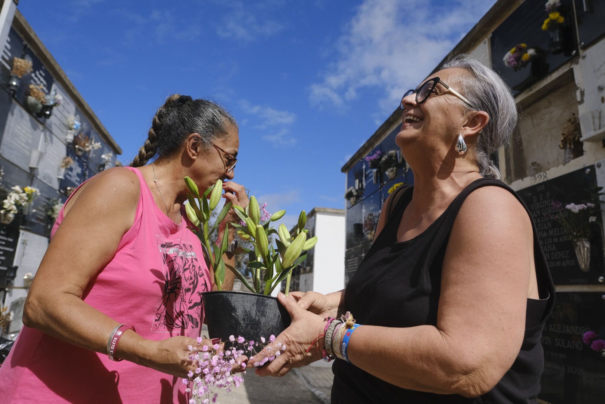 El cementerio de San Lázaro se prepara para el Día de Todos los Santos