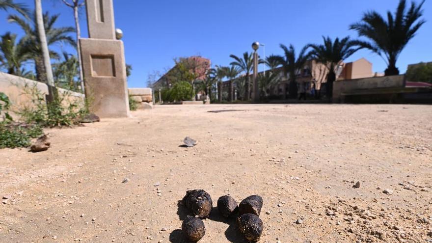 Una zona en Elche invadida por la suciedad, los excrementos, las humedades y los actos vandálicos