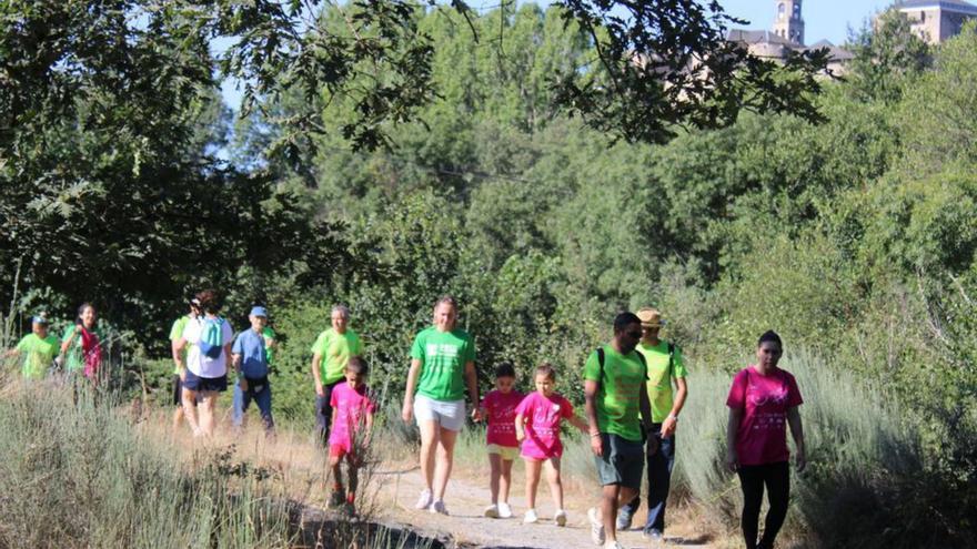 La marcha sanabresa contra el cáncer homenajea a Ismael Sotillo San Román