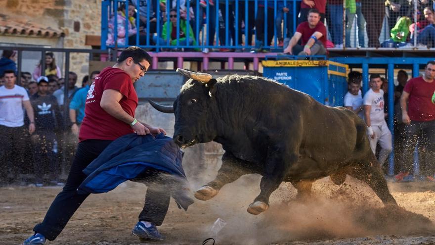 La Todolella, un pequeño pueblo con ganaderías de primera