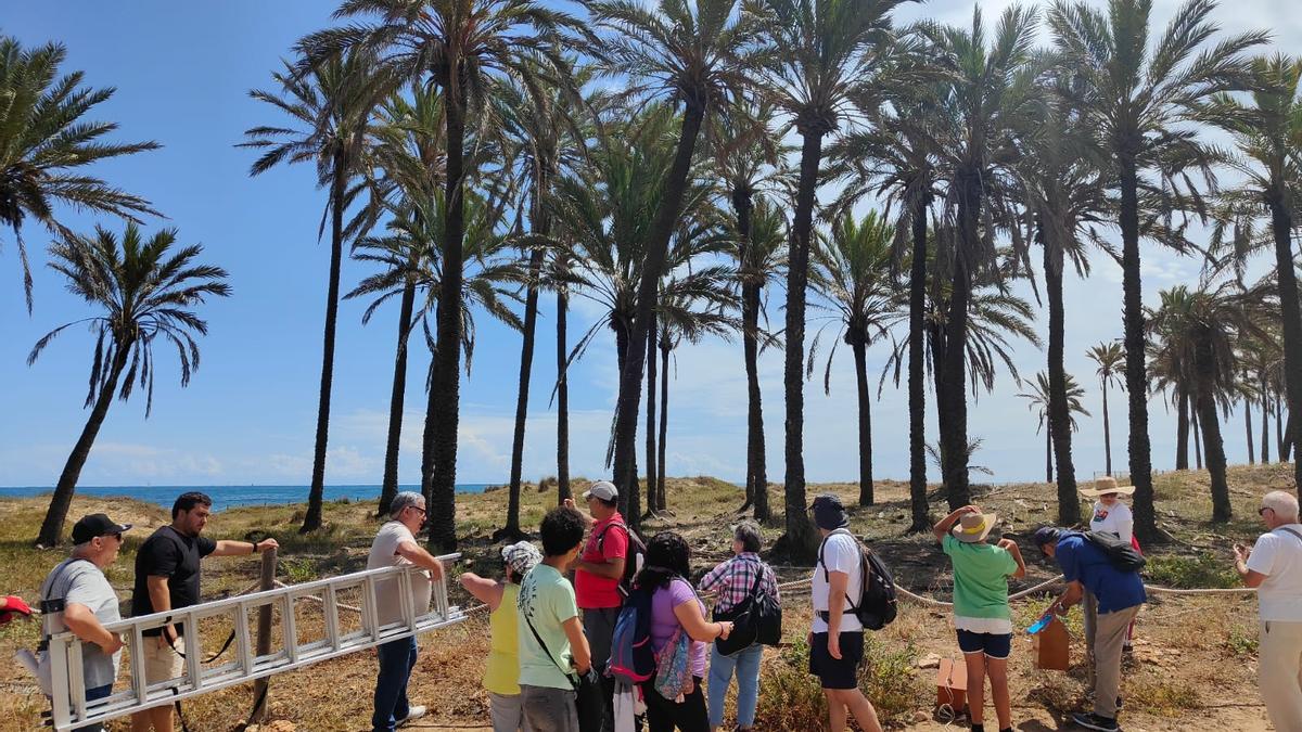 Jornada Reivindicativa en Cala Ferrís de IU- Podemos-Alter en Torrevieja