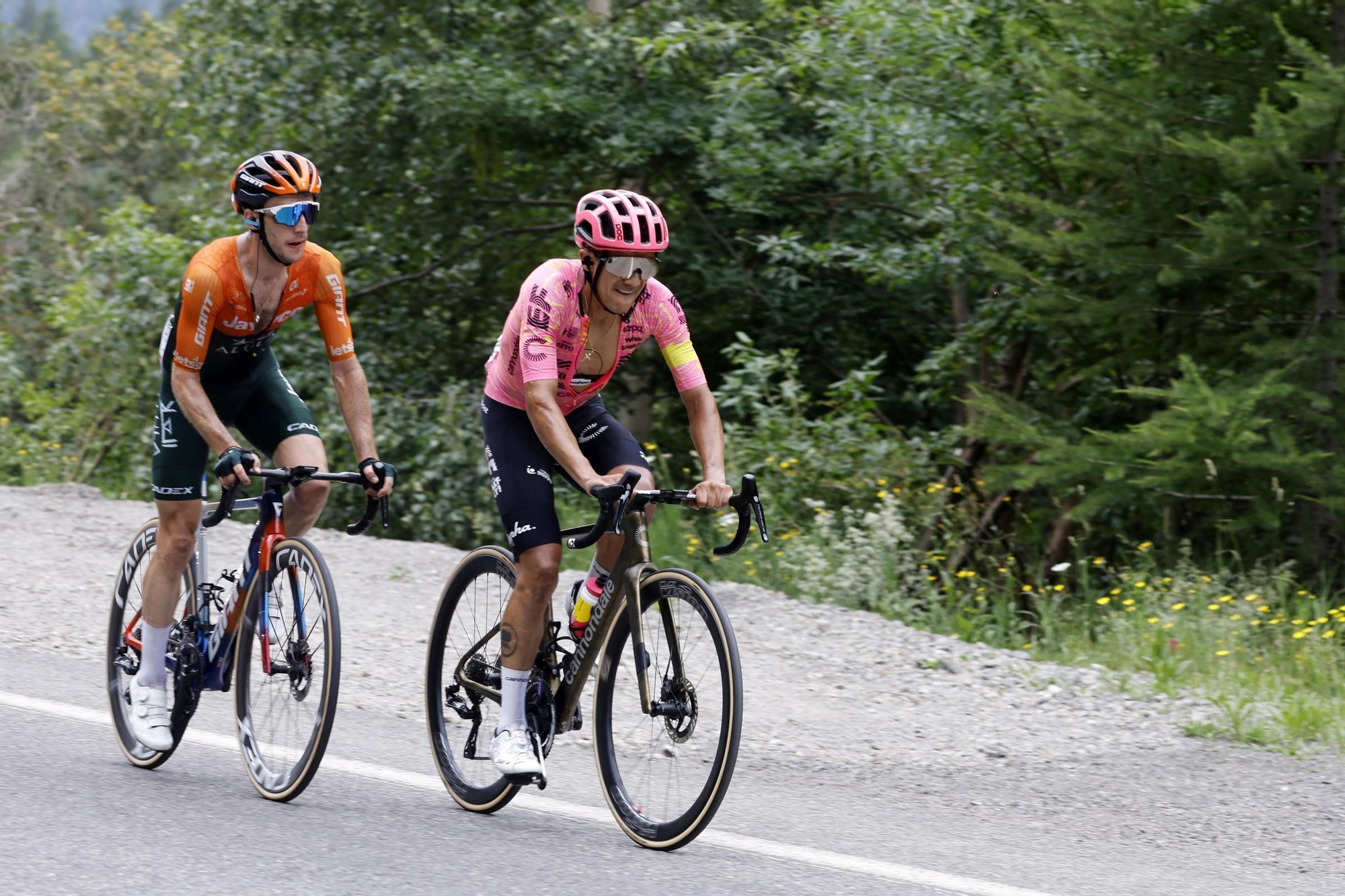 Tour de France 2024 - Stage 19