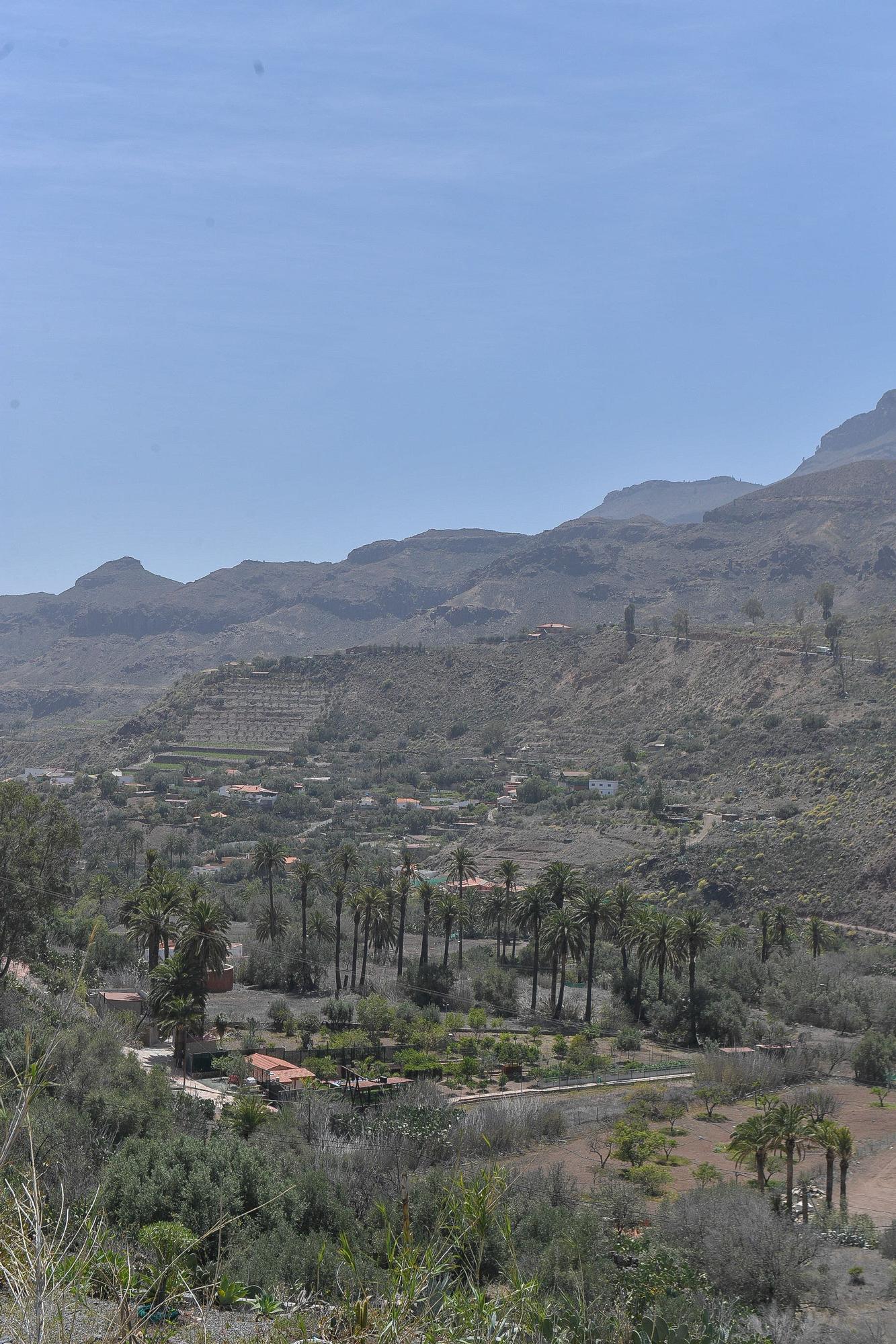 Tiempo en Gran Canaria (15/04/24)