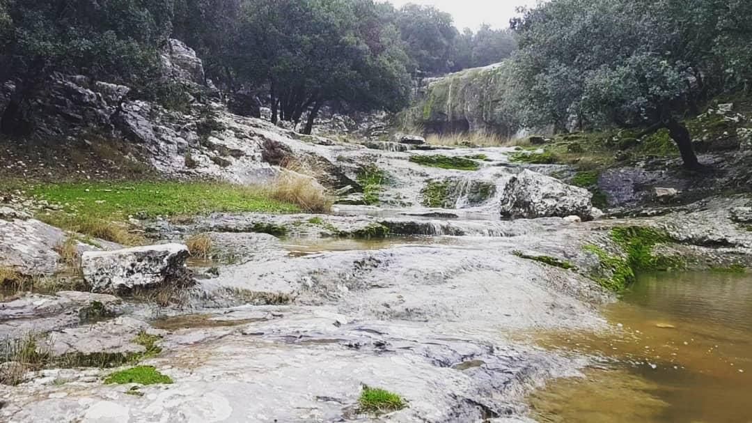 El paraíso tras las lluvias en la sierra de Cabra tras las lluvias