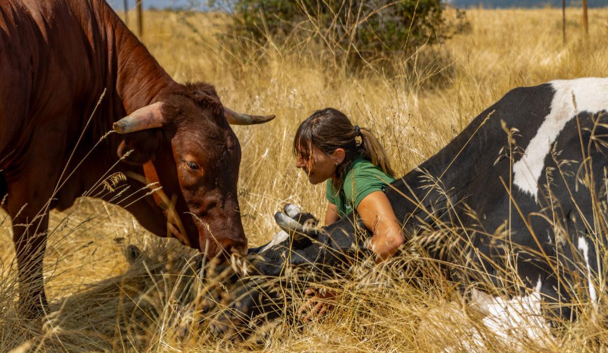 Laura, junto a la vaca Loli y el toro Álamo, en el Santuario Vegan de Madrid.