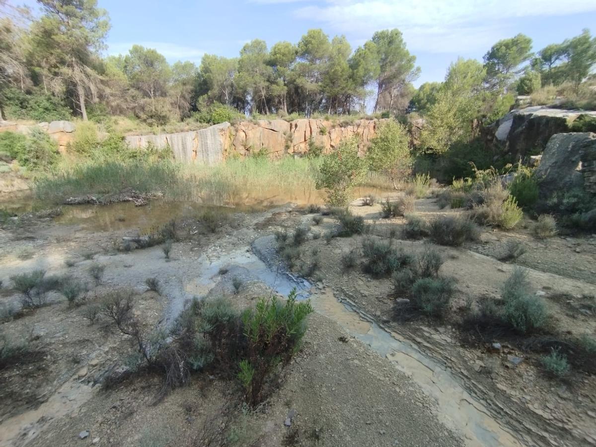 Petita llacuna formada en una pedrera antiga, en terme de Castellbell
