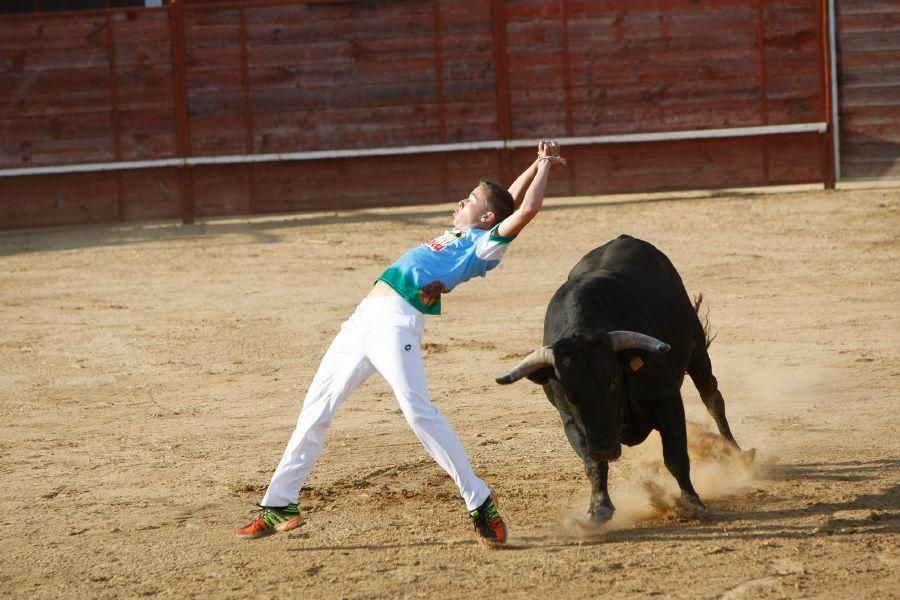 Fiestas en Zamora: Recortes en Villalpando