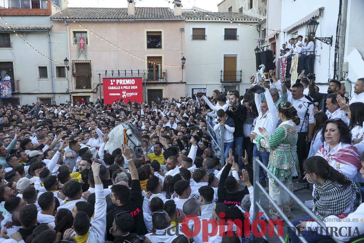 Entrega de premios del concurso de 'Caballo a pelo' en Caravaca