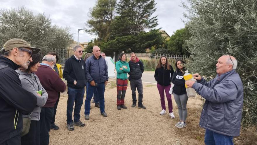 Casanova explica sobre el terreno los secretos del olivo.  | AYUNTAMIENTO DE BISCARRUÉS