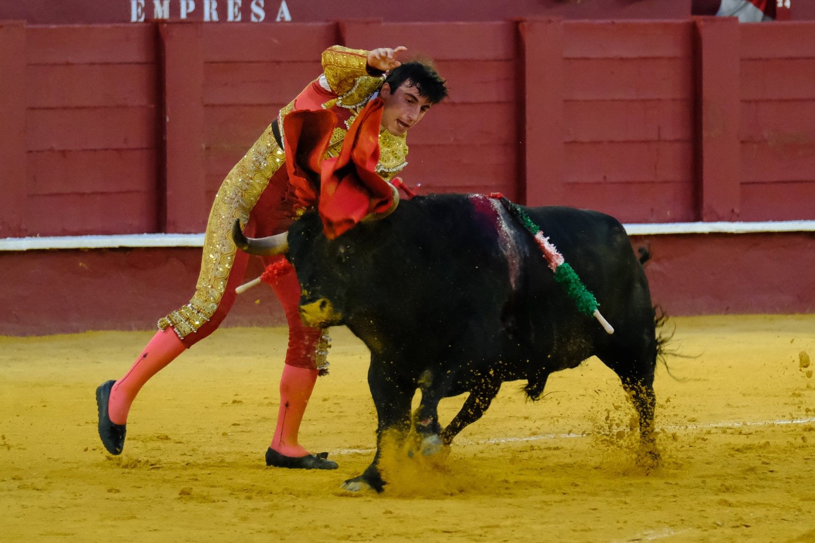 XVI Certamen Internacional de Escuelas Taurinas La Malagueta