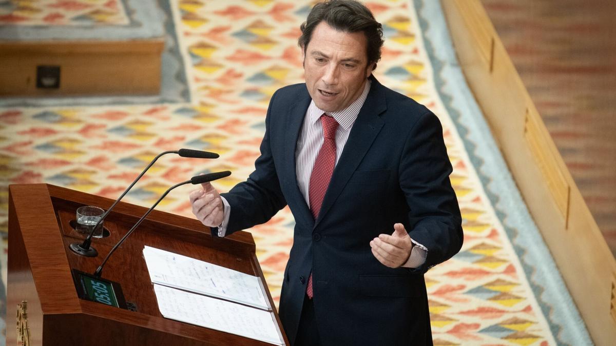 Un diputado del PP de Madrid a la oposición: "Había dejado un poco de tiempo para que se agitasen, verlos así me pone"