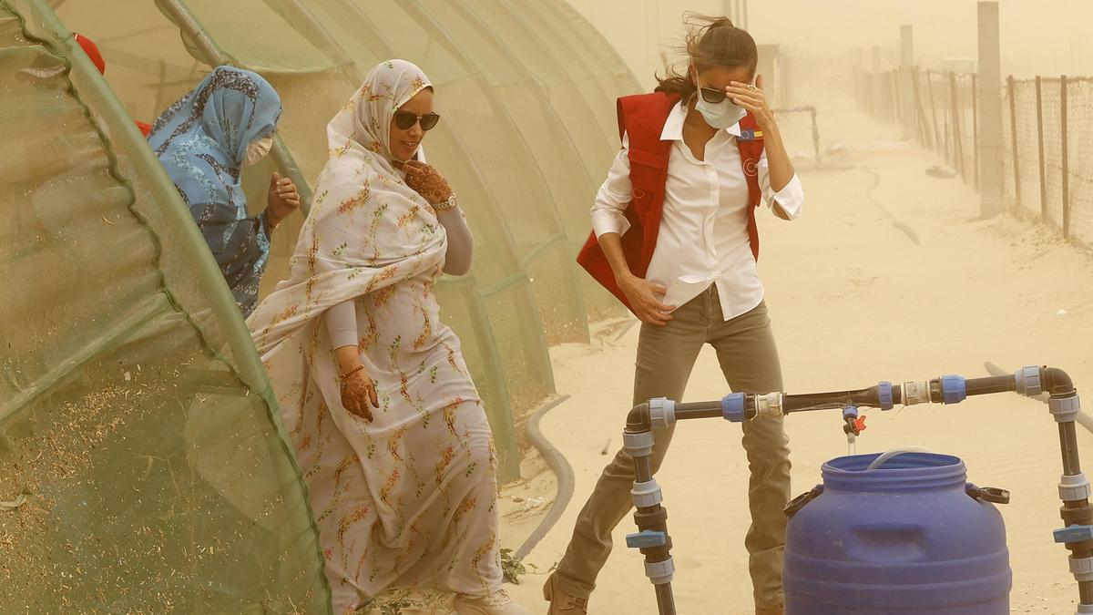 La reina Letizia en su visita a un proyecto de huertos urbanos en Mauritania