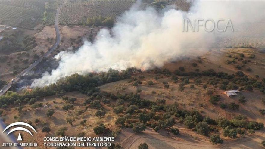 Detienen a los tres culpables de provocar un incendio forestal en Adamuz