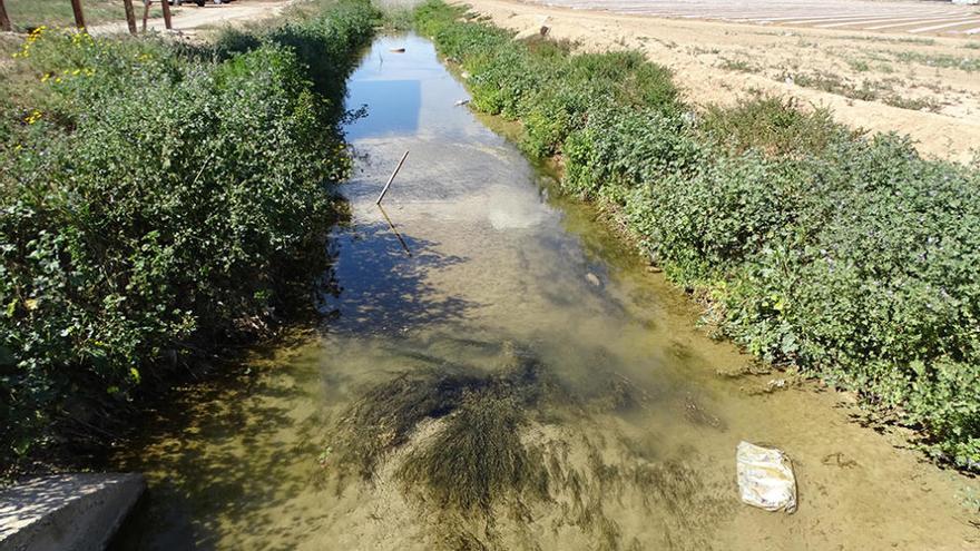 Vertidos de salmuera en un cauce público en el Campo de Cartagena.