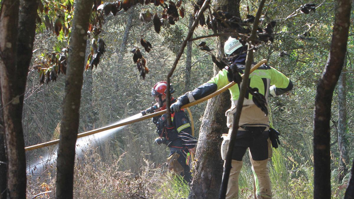Incendio forestal en Carballeda de Avia (Ourense)