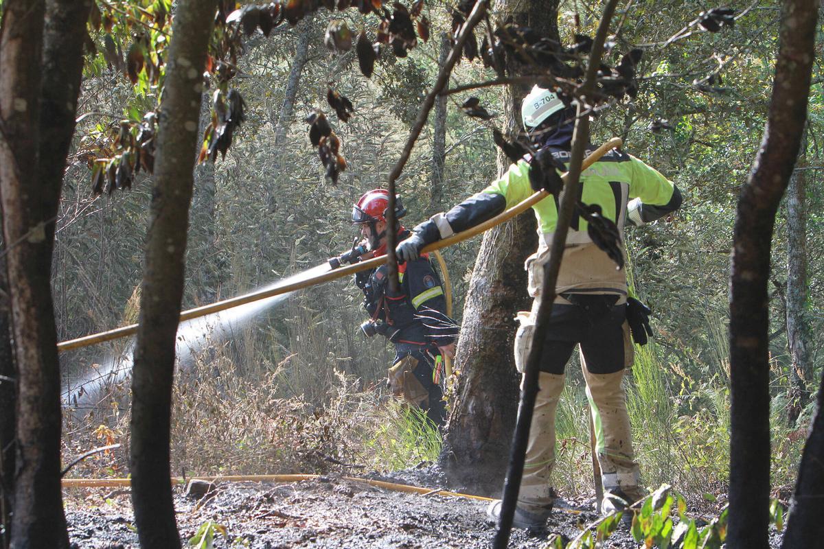 Incendio forestal en Carballeda de Avia (Ourense)