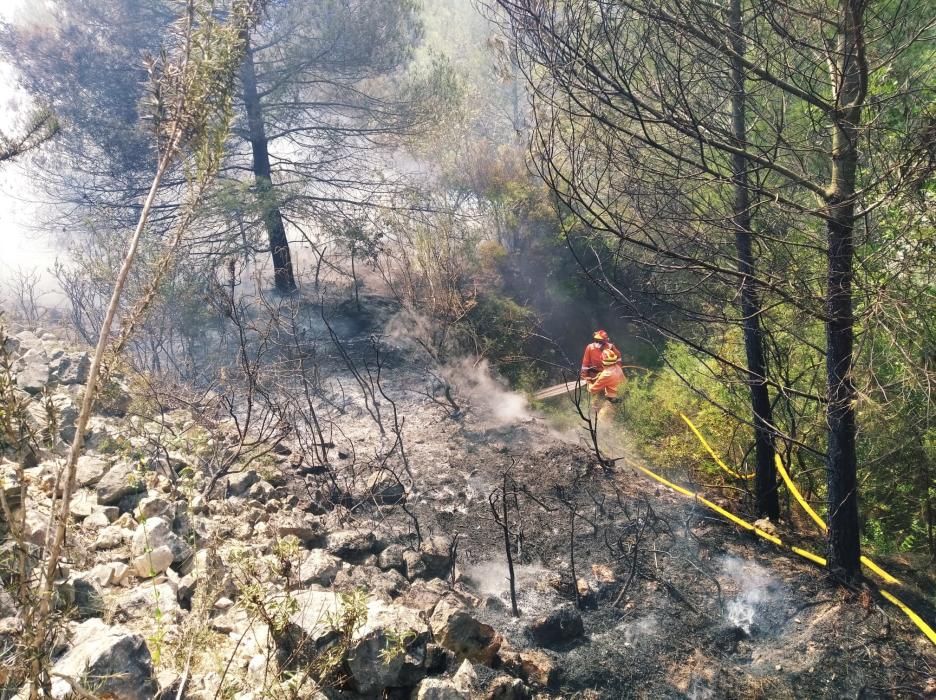 Los Bomberos apagan un fuego forestal en Xàbia.