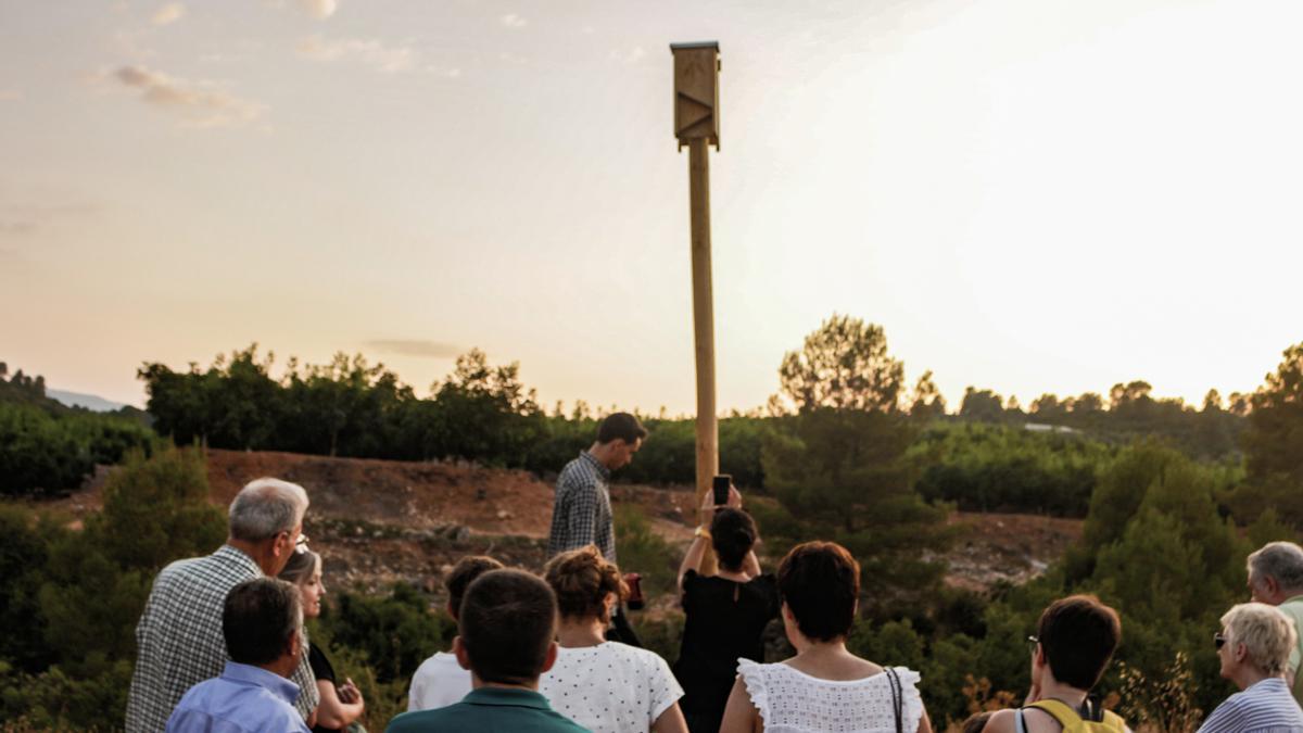 Noche de murciélagos en Bodegas Enguera