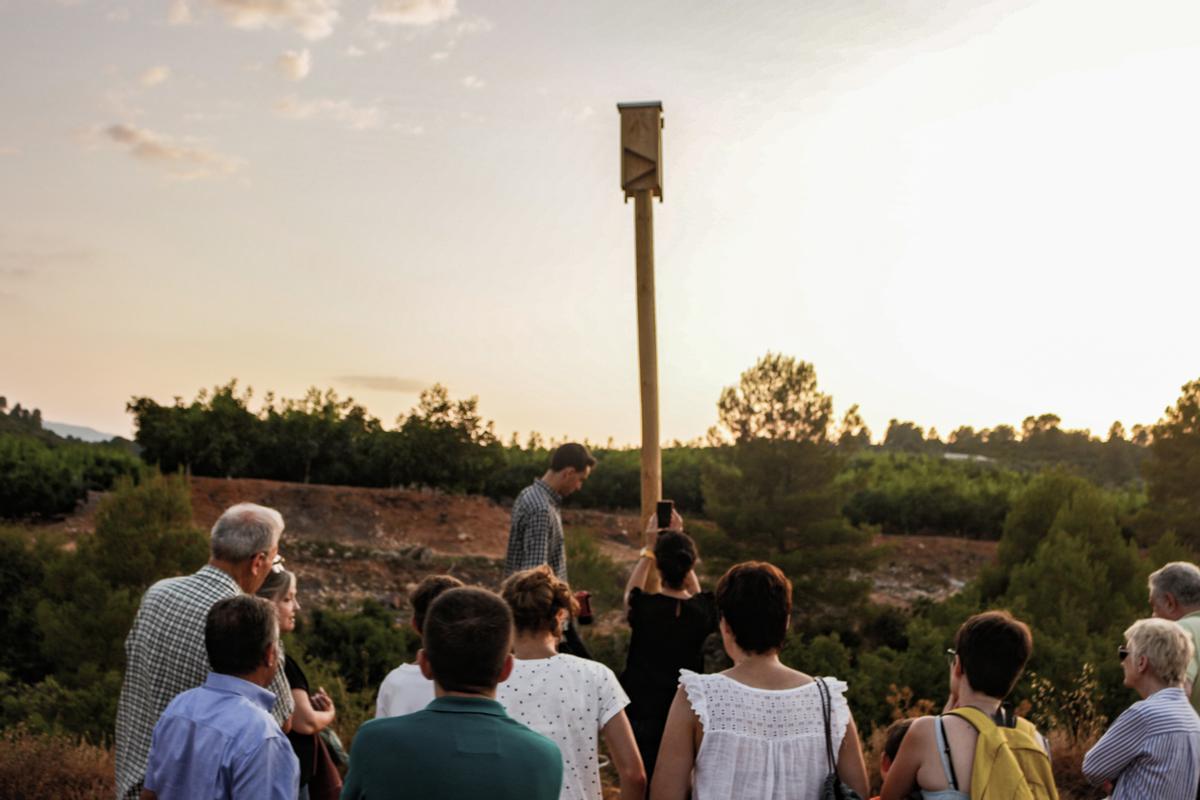 Noche de murciélagos en Bodegas Enguera